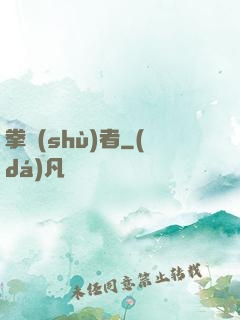 拳術(shù)者
