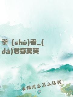 拳術(shù)者