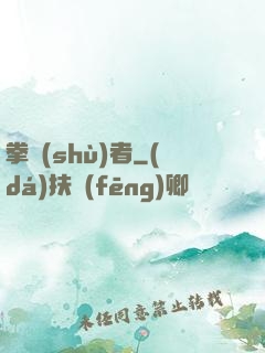拳術(shù)者