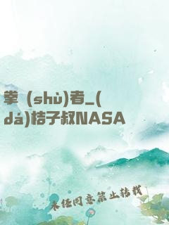 拳術(shù)者