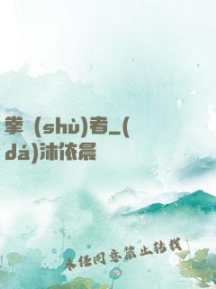 拳術(shù)者