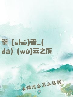 拳術(shù)者