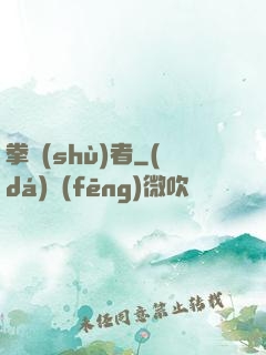 拳術(shù)者
