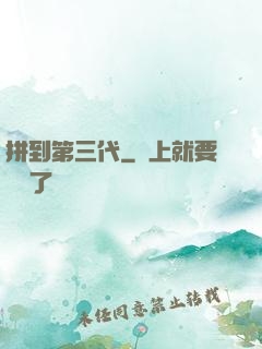 拼到第三代