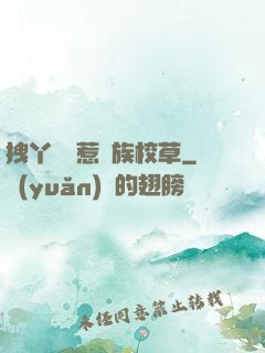 拽丫頭誤惹貴族校草