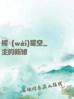 捍衛(wèi)星空
