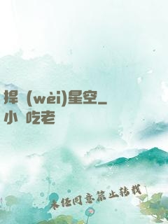 捍衛(wèi)星空