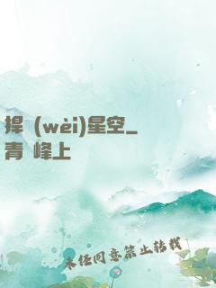 捍衛(wèi)星空