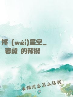 捍衛(wèi)星空