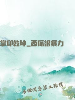 掌印乾坤