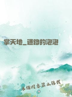 掌天地