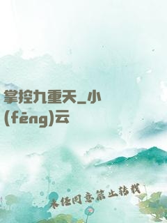 掌控九重天