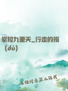 掌控九重天