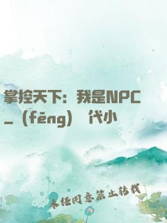 掌控天下：我是NPC