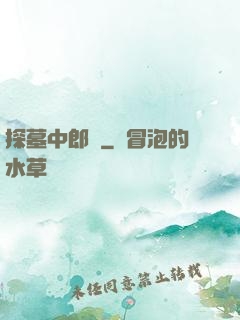 探墓中郎將