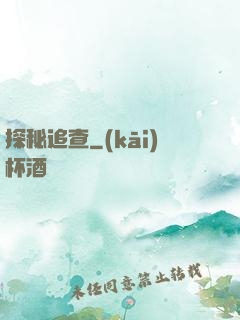 探秘追查