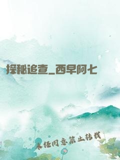 探秘追查