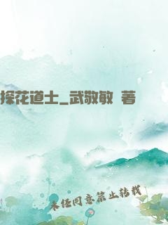 探花道士