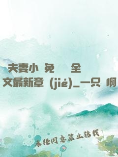 換夫妻小說免費閱讀全文最新章節(jié)