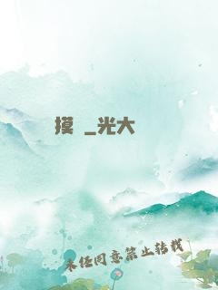摸寶