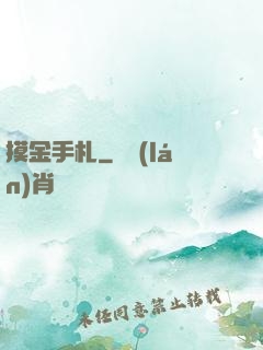 摸金手札