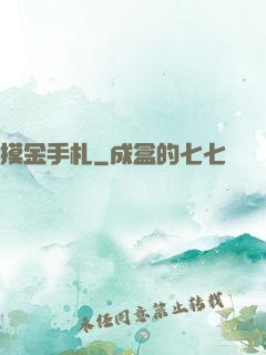 摸金手札