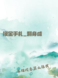 摸金手札