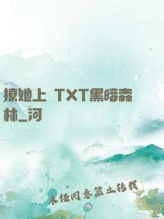 撩她上癮TXT黑暗森林