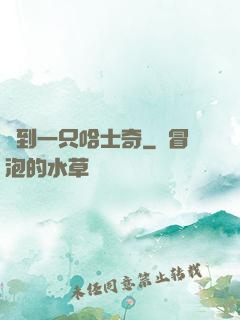 撿到一只哈士奇