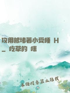攻用根堵著小受睡覺H