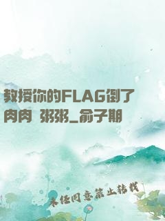 教授你的FLAG倒了肉肉燉粥粥