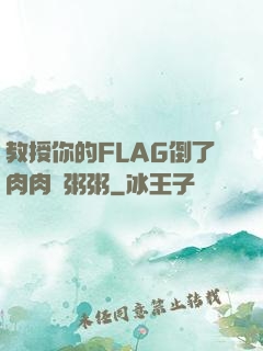 教授你的FLAG倒了肉肉燉粥粥