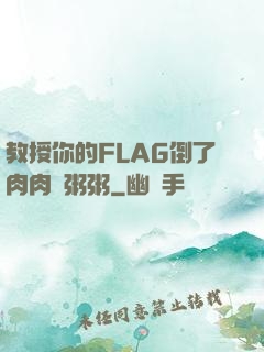 教授你的FLAG倒了肉肉燉粥粥