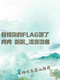 教授你的FLAG倒了肉肉燉粥粥