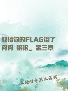 教授你的FLAG倒了肉肉燉粥粥