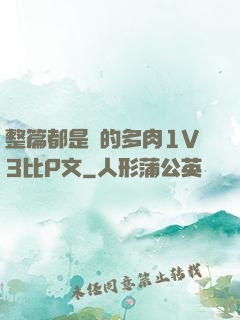 整篇都是車的多肉1V3比P文