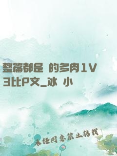 整篇都是車的多肉1V3比P文