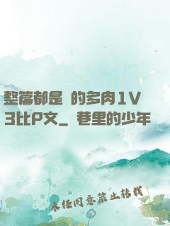 整篇都是車的多肉1V3比P文