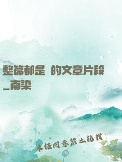 整篇都是車的文章片段