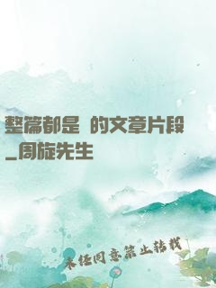 整篇都是車的文章片段