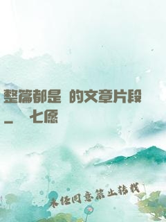 整篇都是車的文章片段