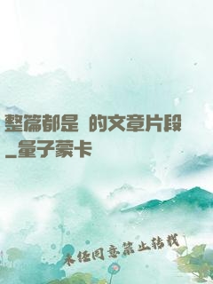 整篇都是車的文章片段