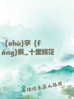 數(shù)字風(fēng)暴