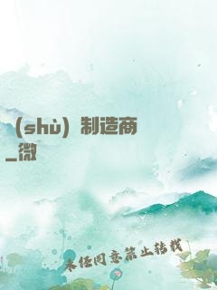 數(shù)碼制造商