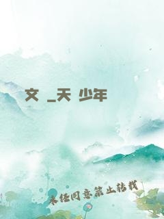 文賊