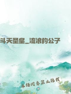 斗天圣皇