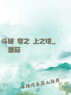 斗破蒼穹之無上之境