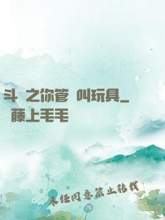 斗羅之你管這叫玩具