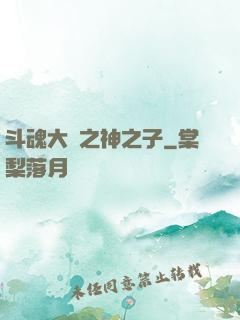 斗魂大陸之神之子