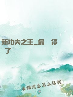 新功夫之王